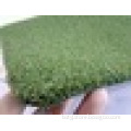 putting green Golf grass